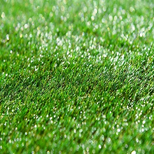The Procurement Of DIY Synthetic Grass