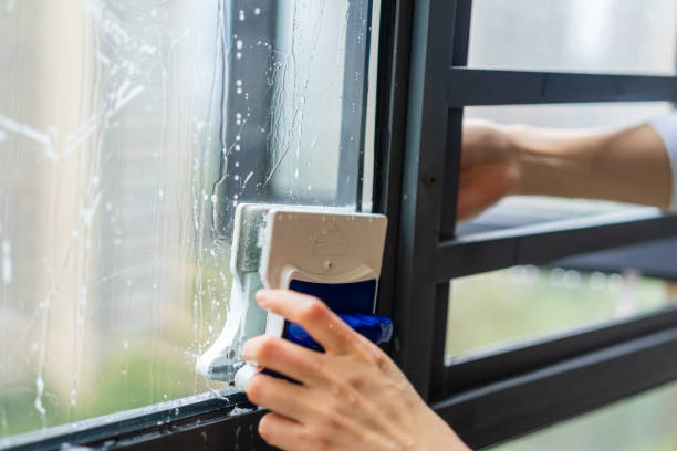 Unlocking The Power Of Commercial Window Tinting In Brisbane: A Practical Guide For Businesses